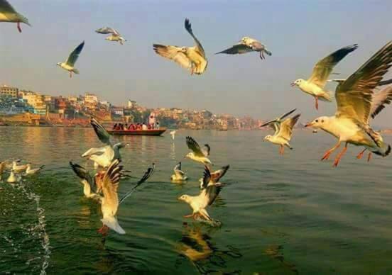 Shiva Ganges View Guest House Varanasi Eksteriør bilde